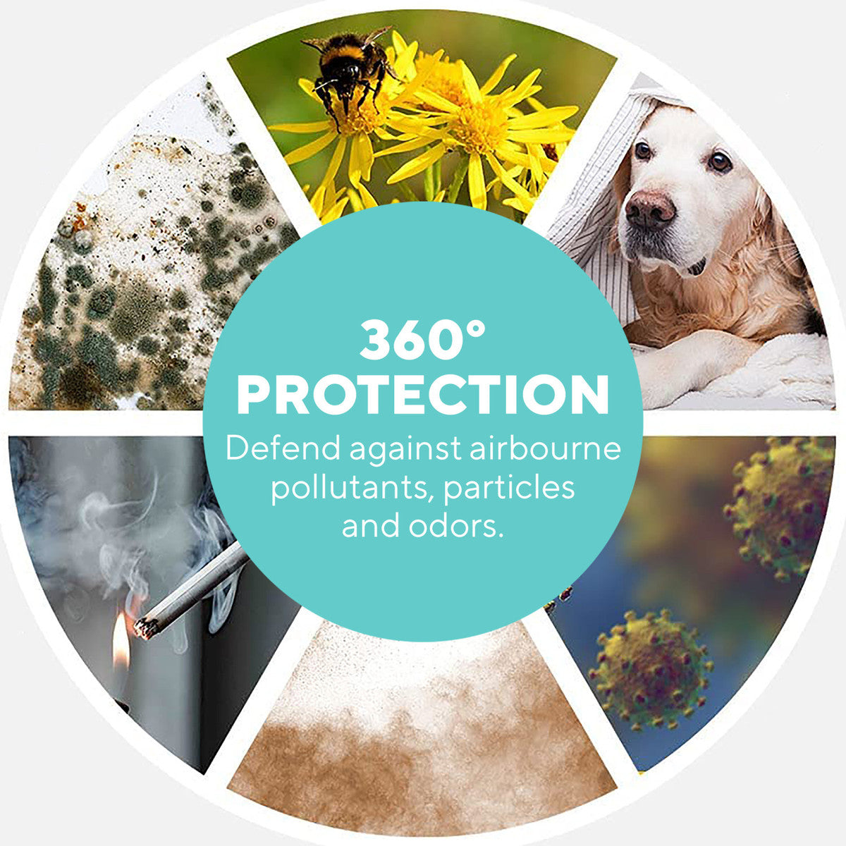 HoMedics TotalClean PetPlus 5-in-1 Air Purifier
